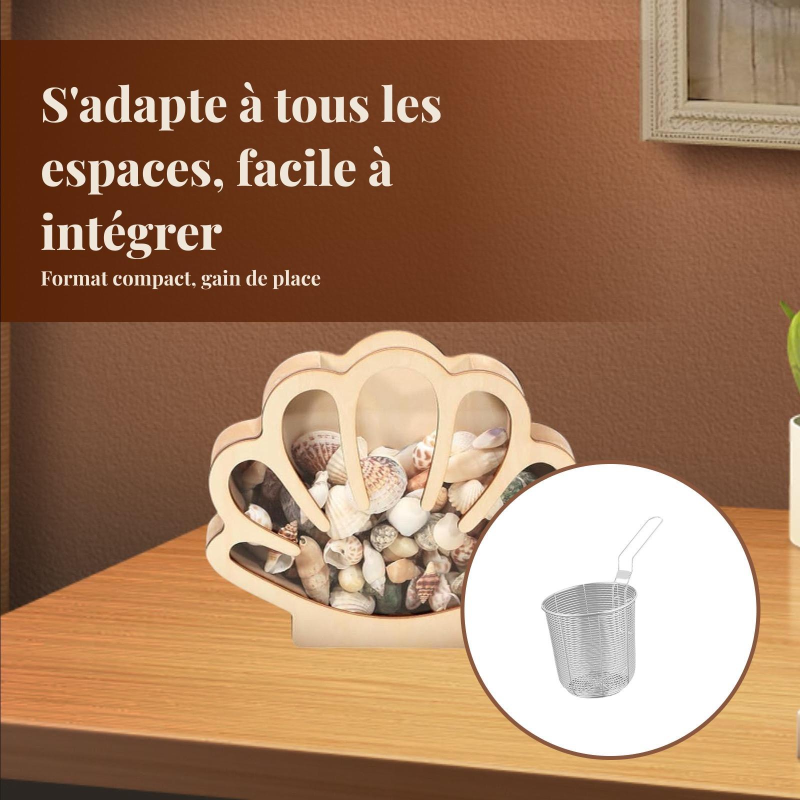 Boîte d'exposition de coquille - Collectors Coins Jewelry & Watches Of Smithtown Reviews avis et prix