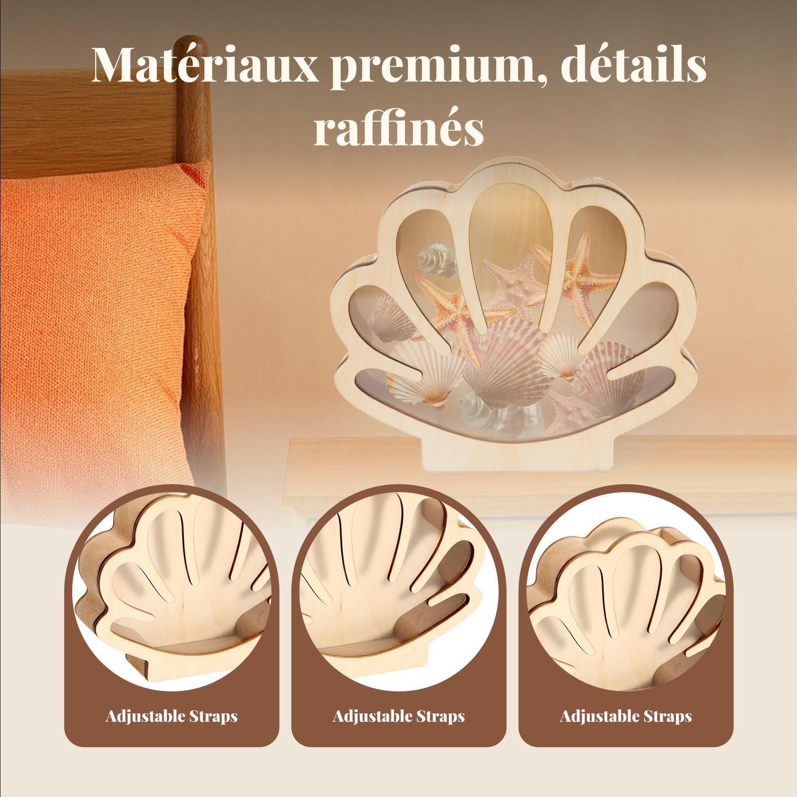 Boîte d'exposition de coquille - Collectors Coins Jewelry & Watches Of Smithtown Reviews avis et prix